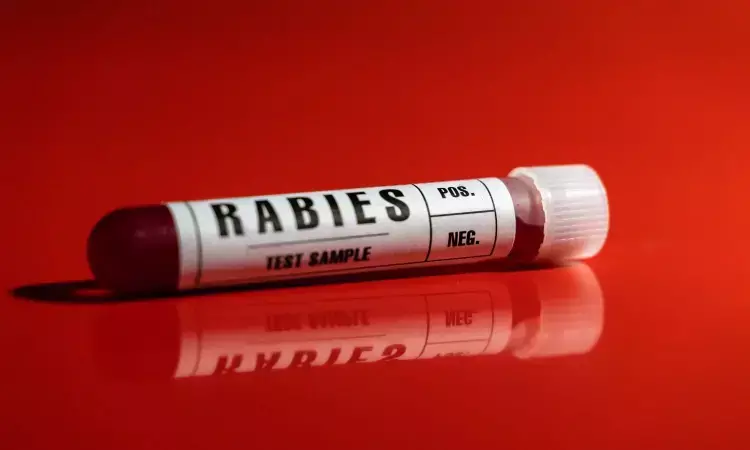 Delhi To Declare Rabies A 