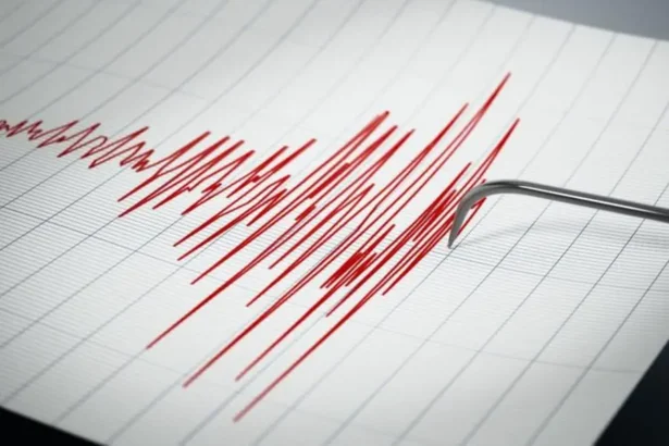 Global Seismic Alert: 6.2 Magnitude Quake Hits Japan's Hokkaido; 4.4 Tremor Rocks Afghanistan