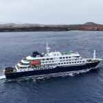 Tracking the Trace: Global Race to Contact Passengers After Hantavirus Outbreak on Cruise Vessel